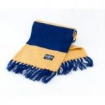 Yellow & Blue Deluxe Cashmere Bar Scarf