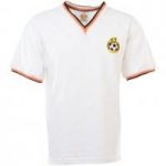 Detroit Cougars 1960s Retro Football Shirt